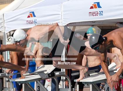 Thumbnail 1 in AIA D2 Swim Finals photogallery.