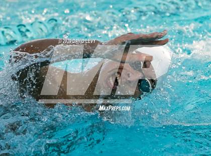 Thumbnail 3 in AIA D2 Swim Finals photogallery.