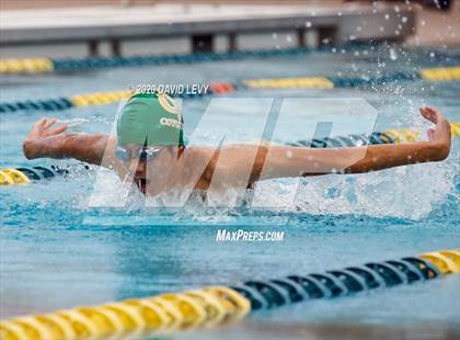 Thumbnail 1 in AIA D2 Swim Finals photogallery.