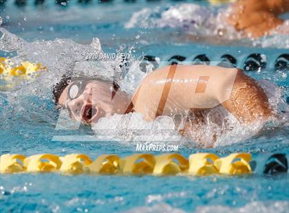 Thumbnail 2 in AIA D2 Swim Finals photogallery.