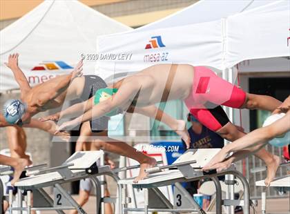 Thumbnail 3 in AIA D2 Swim Finals photogallery.