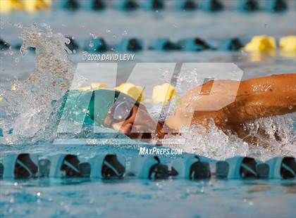 Thumbnail 1 in AIA D2 Swim Finals photogallery.