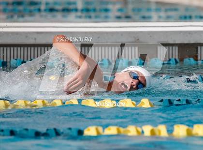 Thumbnail 3 in AIA D2 Swim Finals photogallery.