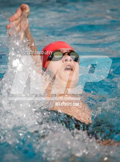 Thumbnail 2 in AIA D2 Swim Finals photogallery.