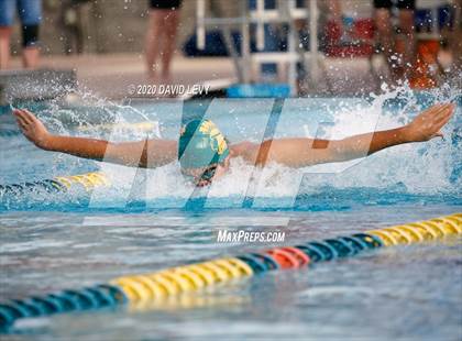 Thumbnail 1 in AIA D2 Swim Finals photogallery.
