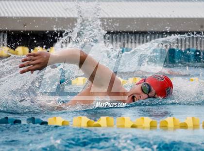 Thumbnail 3 in AIA D2 Swim Finals photogallery.