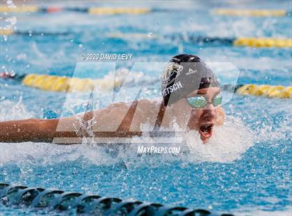 Thumbnail 3 in AIA D2 Swim Finals photogallery.