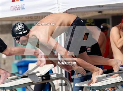 Thumbnail 1 in AIA D2 Swim Finals photogallery.