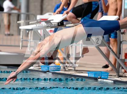 Thumbnail 1 in AIA D2 Swim Finals photogallery.