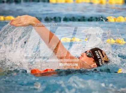 Thumbnail 1 in AIA D2 Swim Finals photogallery.