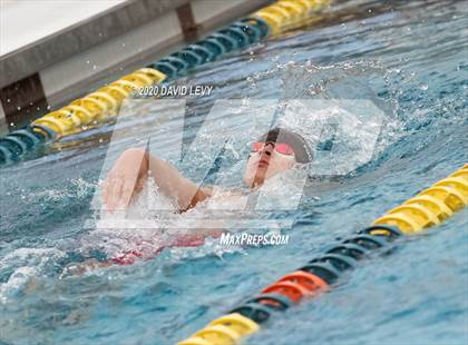Thumbnail 1 in AIA D2 Swim Finals photogallery.