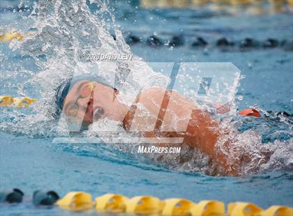Thumbnail 1 in AIA D2 Swim Finals photogallery.