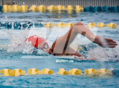 Thumbnail 2 in AIA D2 Swim Finals photogallery.