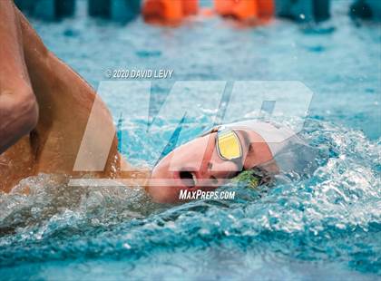 Thumbnail 2 in AIA D2 Swim Finals photogallery.