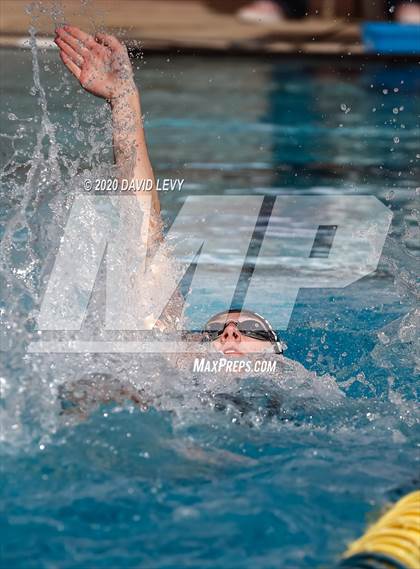 Thumbnail 2 in AIA D2 Swim Finals photogallery.