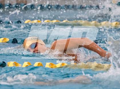 Thumbnail 2 in AIA D2 Swim Finals photogallery.