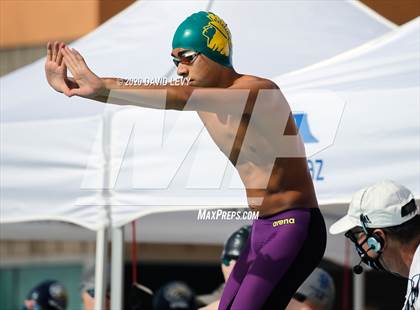 Thumbnail 2 in AIA D2 Swim Finals photogallery.