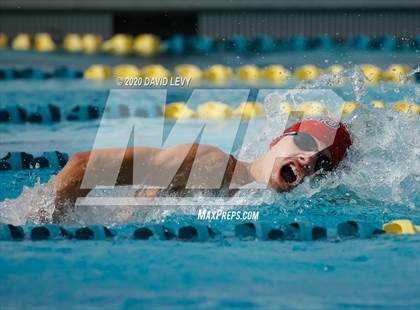 Thumbnail 2 in AIA D2 Swim Finals photogallery.