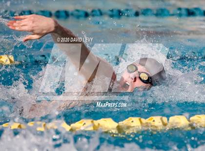 Thumbnail 3 in AIA D2 Swim Finals photogallery.