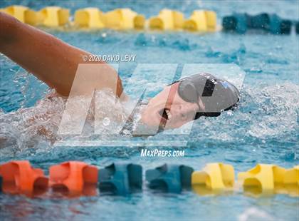 Thumbnail 3 in AIA D2 Swim Finals photogallery.
