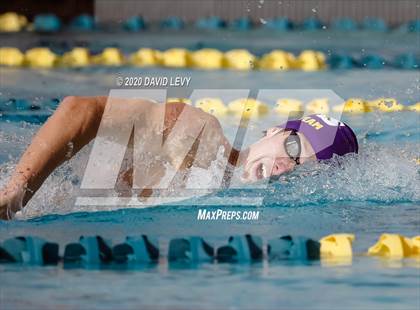 Thumbnail 1 in AIA D2 Swim Finals photogallery.