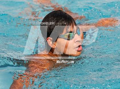 Thumbnail 1 in AIA D2 Swim Finals photogallery.