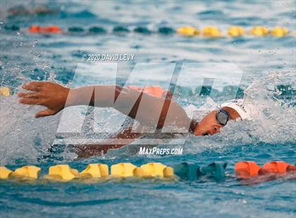 Thumbnail 1 in AIA D2 Swim Finals photogallery.