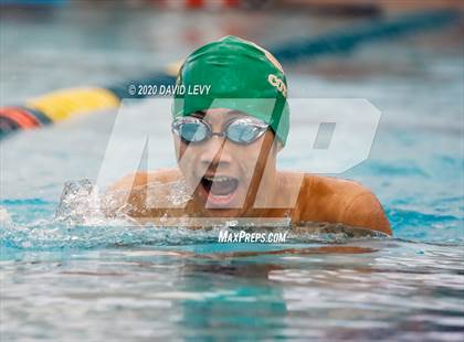 Thumbnail 1 in AIA D2 Swim Finals photogallery.