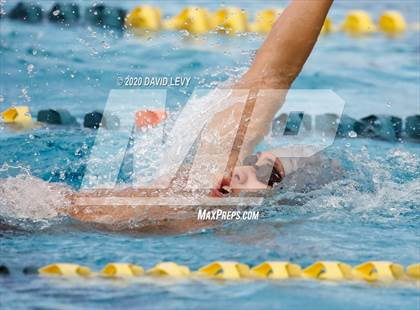 Thumbnail 3 in AIA D2 Swim Finals photogallery.