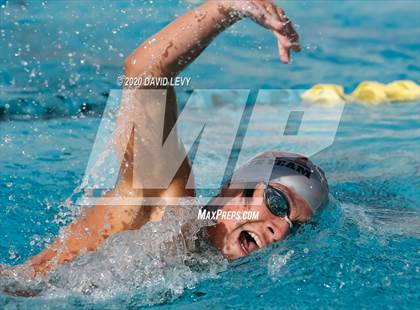 Thumbnail 3 in AIA D2 Swim Finals photogallery.