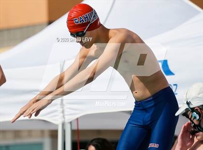 Thumbnail 1 in AIA D2 Swim Finals photogallery.