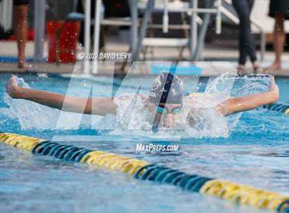Thumbnail 1 in AIA D2 Swim Finals photogallery.
