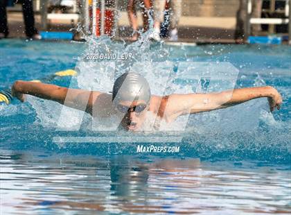 Thumbnail 1 in AIA D2 Swim Finals photogallery.