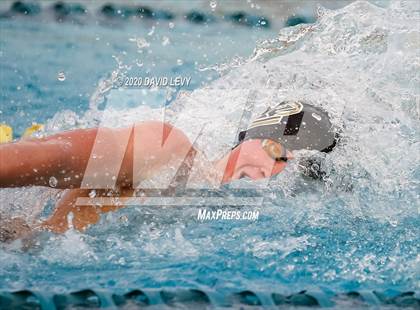 Thumbnail 2 in AIA D2 Swim Finals photogallery.