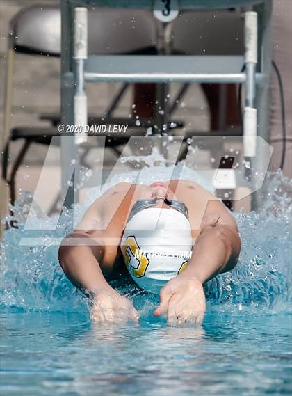 Thumbnail 1 in AIA D2 Swim Finals photogallery.