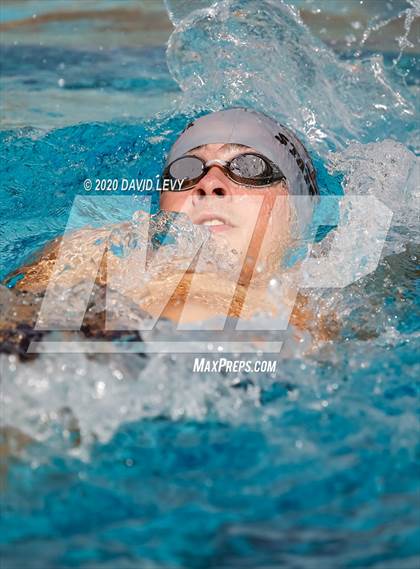 Thumbnail 1 in AIA D2 Swim Finals photogallery.