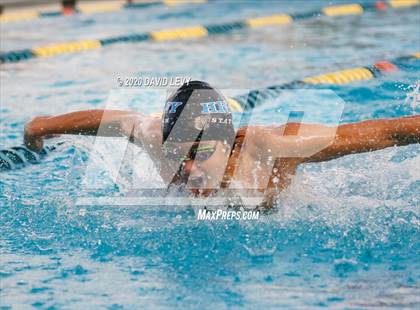 Thumbnail 1 in AIA D2 Swim Finals photogallery.