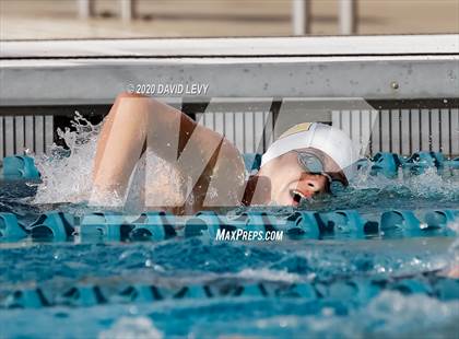 Thumbnail 3 in AIA D2 Swim Finals photogallery.