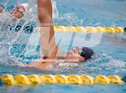 Thumbnail 1 in AIA D2 Swim Finals photogallery.