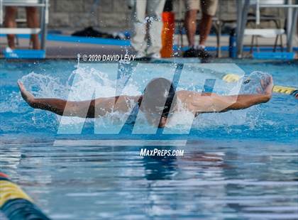 Thumbnail 3 in AIA D2 Swim Finals photogallery.