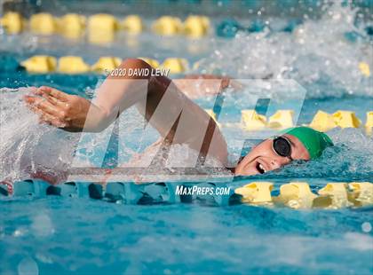 Thumbnail 1 in AIA D2 Swim Finals photogallery.