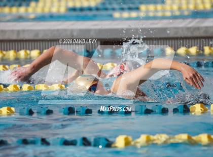 Thumbnail 1 in AIA D2 Swim Finals photogallery.