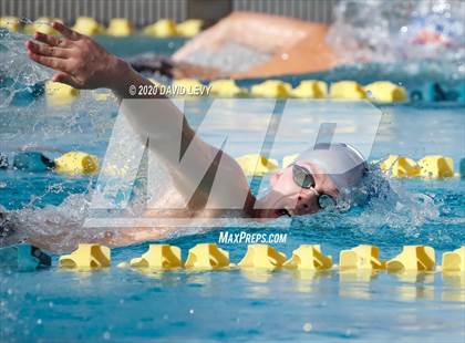 Thumbnail 1 in AIA D2 Swim Finals photogallery.