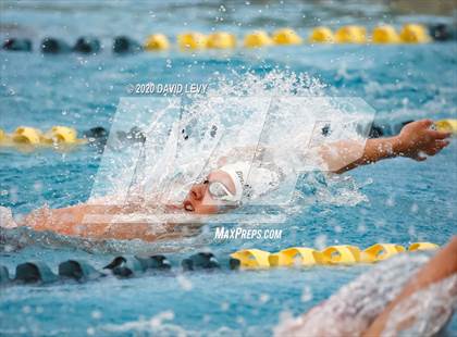 Thumbnail 3 in AIA D2 Swim Finals photogallery.