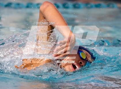 Thumbnail 3 in AIA D2 Swim Finals photogallery.