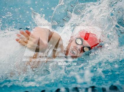 Thumbnail 3 in AIA D2 Swim Finals photogallery.