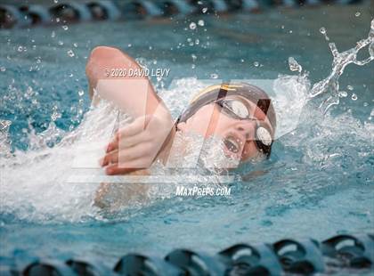 Thumbnail 1 in AIA D2 Swim Finals photogallery.