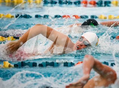 Thumbnail 3 in AIA D2 Swim Finals photogallery.