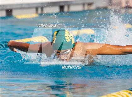 Thumbnail 1 in AIA D2 Swim Finals photogallery.