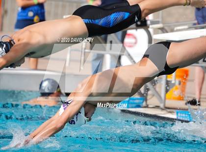 Thumbnail 2 in AIA D2 Swim Finals photogallery.